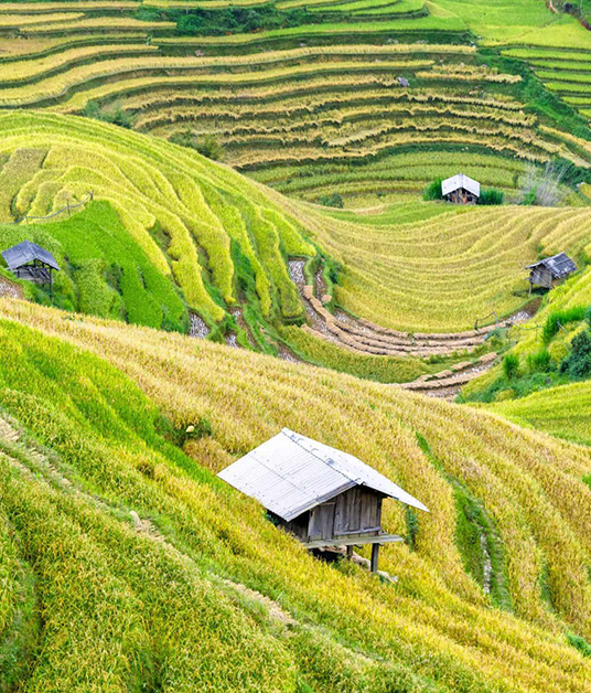 Travelling in Each Region